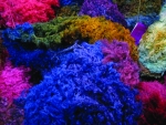 Knit 'n Crochet/Rug Hooking